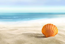 人参胡桃汤治疗补虚定喘。主治喘促日久,肺肾两虚。人参胡桃汤秘方制作方法。