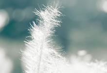 参术补脾汤治疗疟疾。参术补脾汤秘方制作方法。