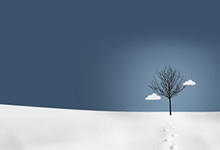 复元活血汤治疗疏肝通络,活血祛瘀。治跌打损伤,恶血留于胁下,痛不可忍,或小腹作痛,或痞闷及便毒初起肿痛。复元活血汤秘方制作方法。