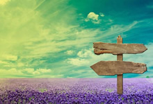 内补黄芪汤治疗发痈疽,肿溃去脓多,里有虚热。内补黄芪汤秘方制作方法。